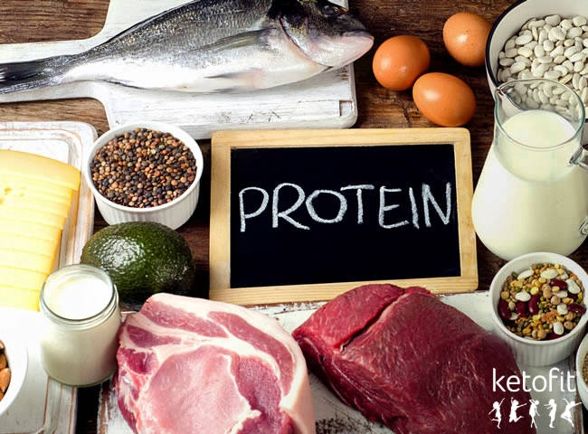 Co je vlastně proteinová dieta